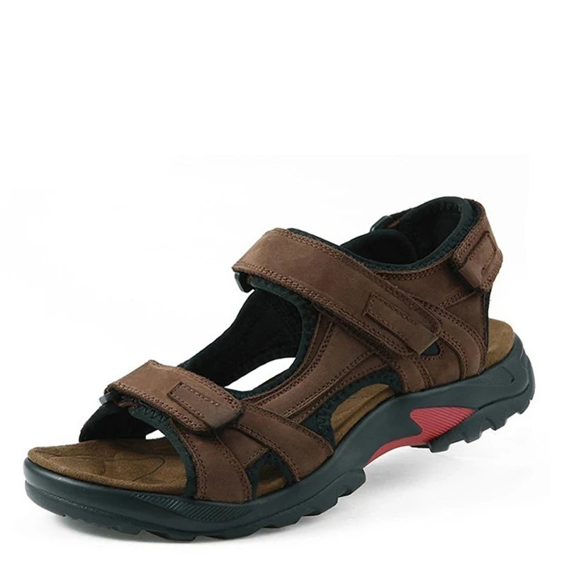 #color_dark brown