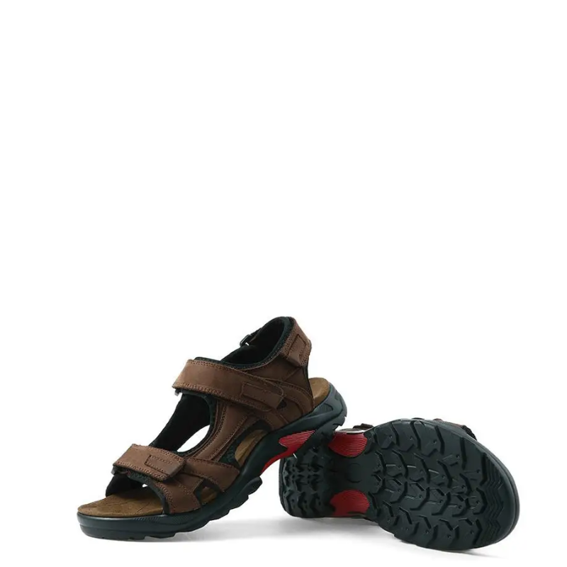 #color_dark brown