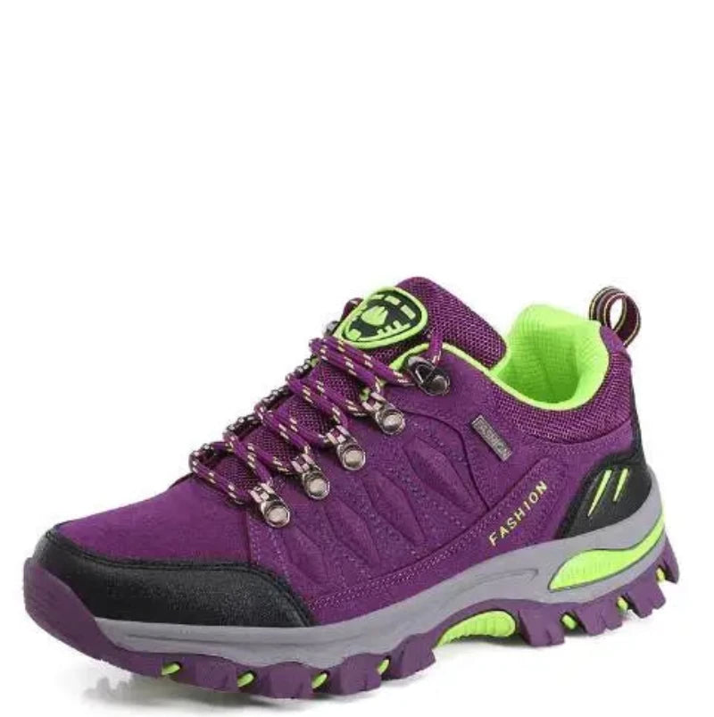 #color_purple